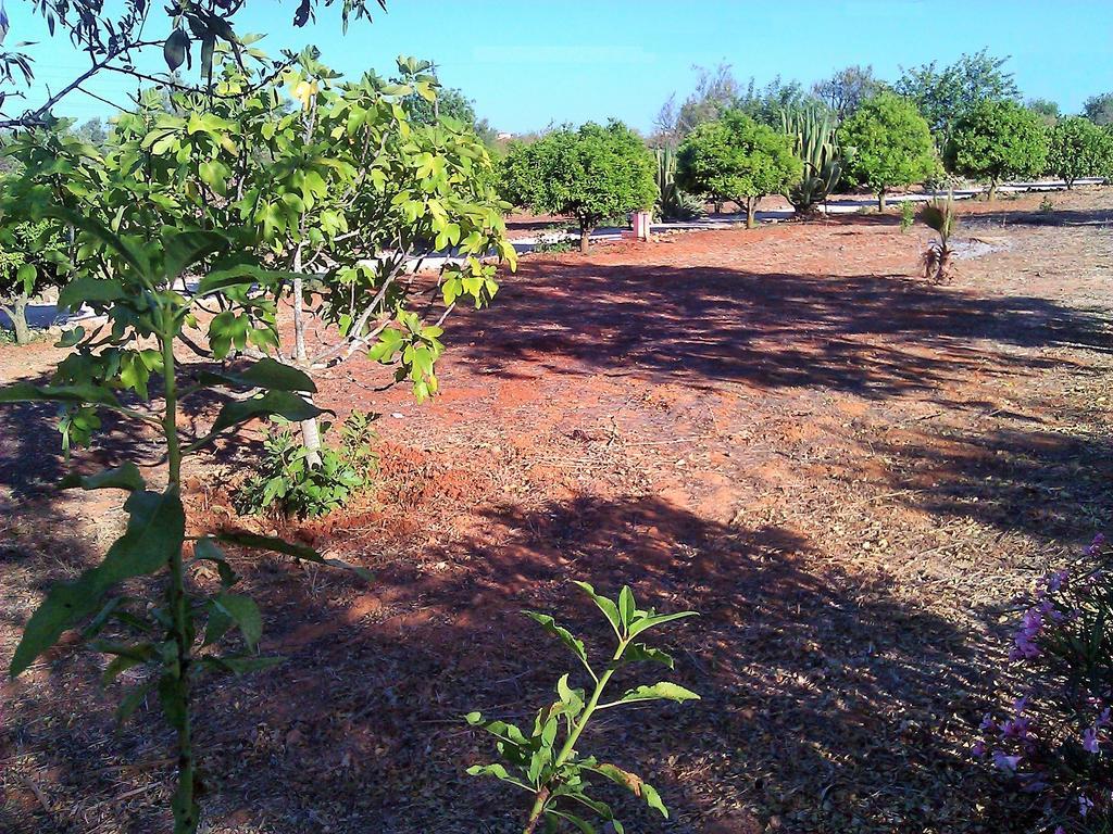 Quinta Casalinho Villa Albufeira Kültér fotó