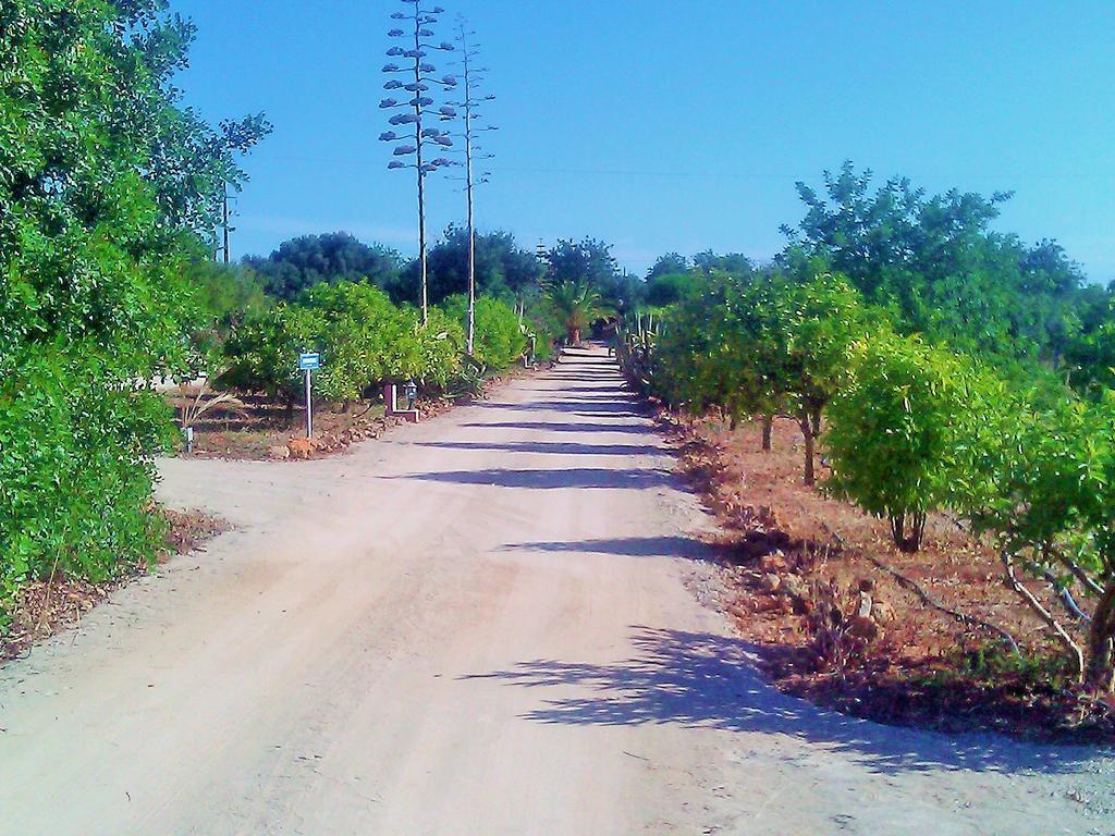 Quinta Casalinho Villa Albufeira Kültér fotó